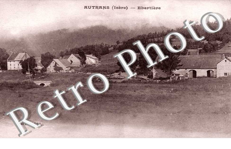 elbertiere