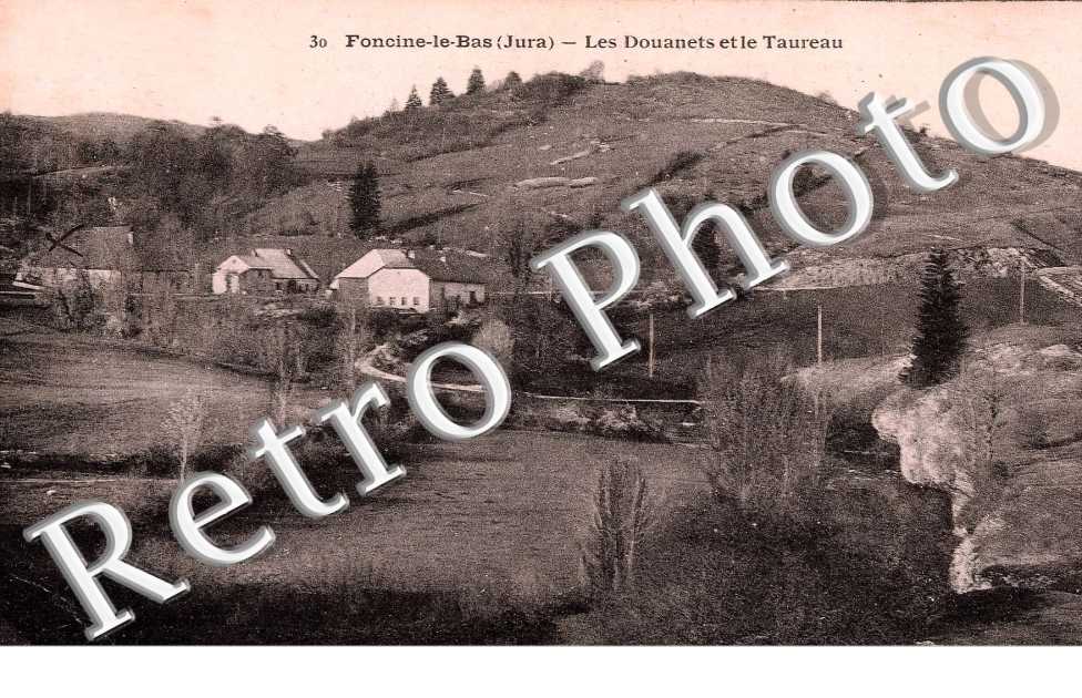 les douanets et le taureau