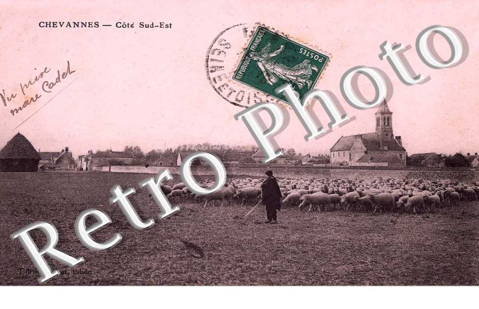 COTE SUD EST (moutons)