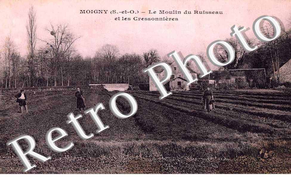 Le Moulin du Ruisseau et les Cressonnieres