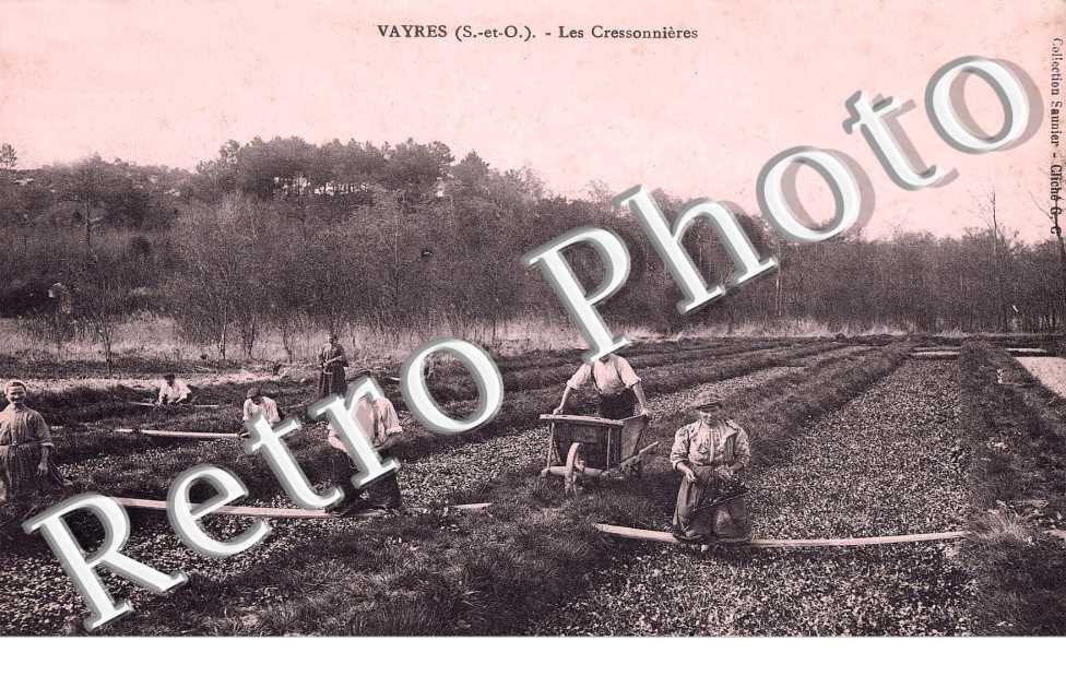 LES CRESSONNIERES 