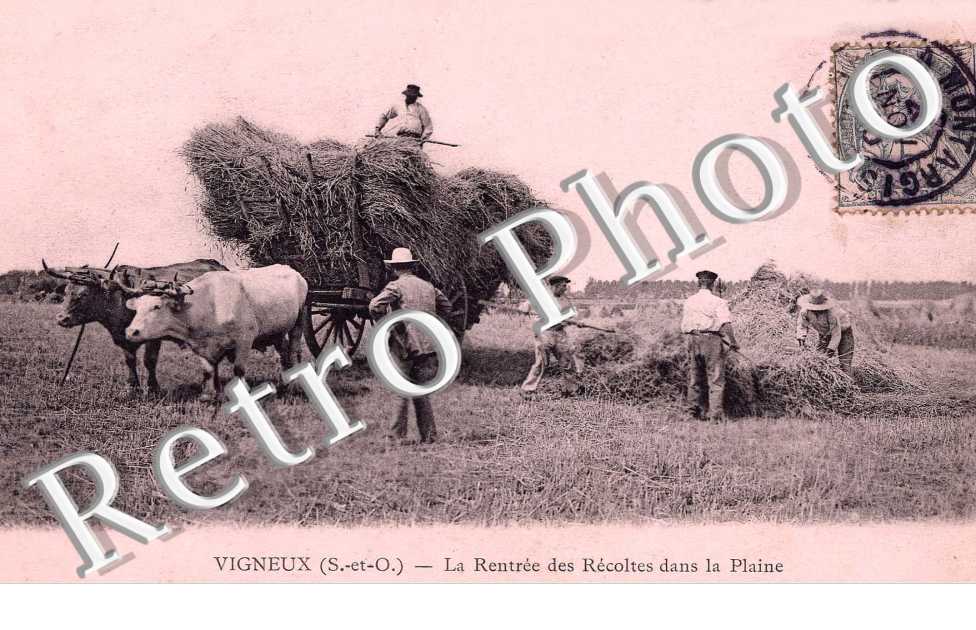 La Rentree des Recoltes dans la Plaine