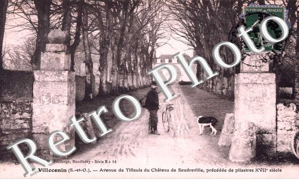 AVENUE DES TILLEULS DU CHATEAU DE SAUDREVILLE