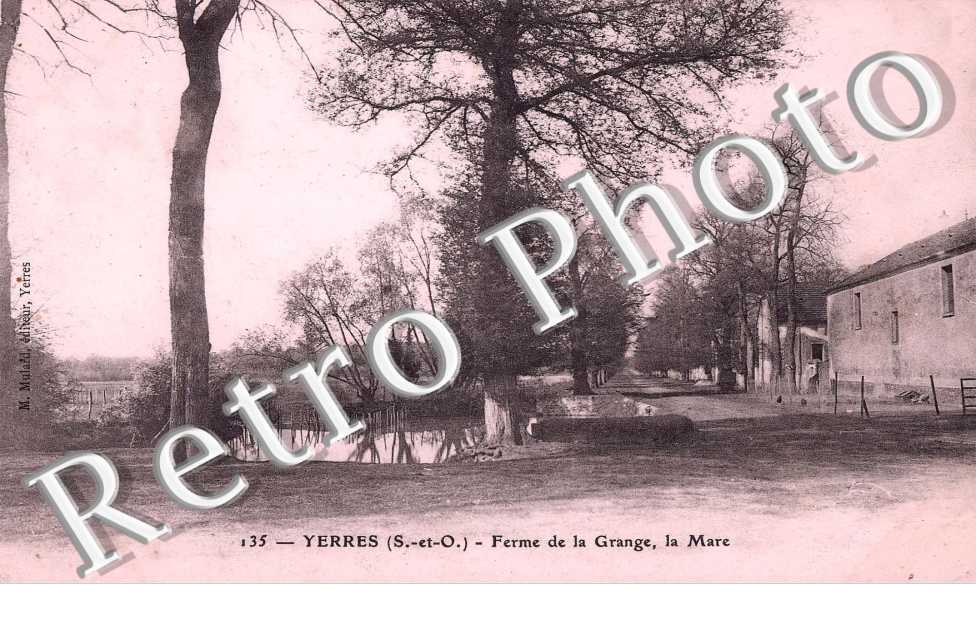 Ferme de la Grange - la mare