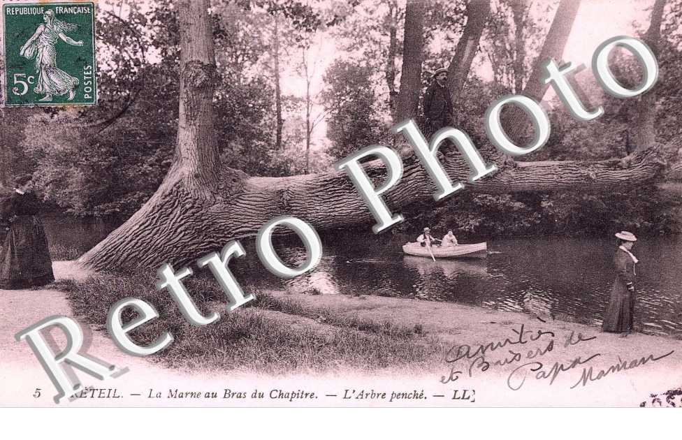 la Marne au bras du Chapitre - L'Arbre Penché