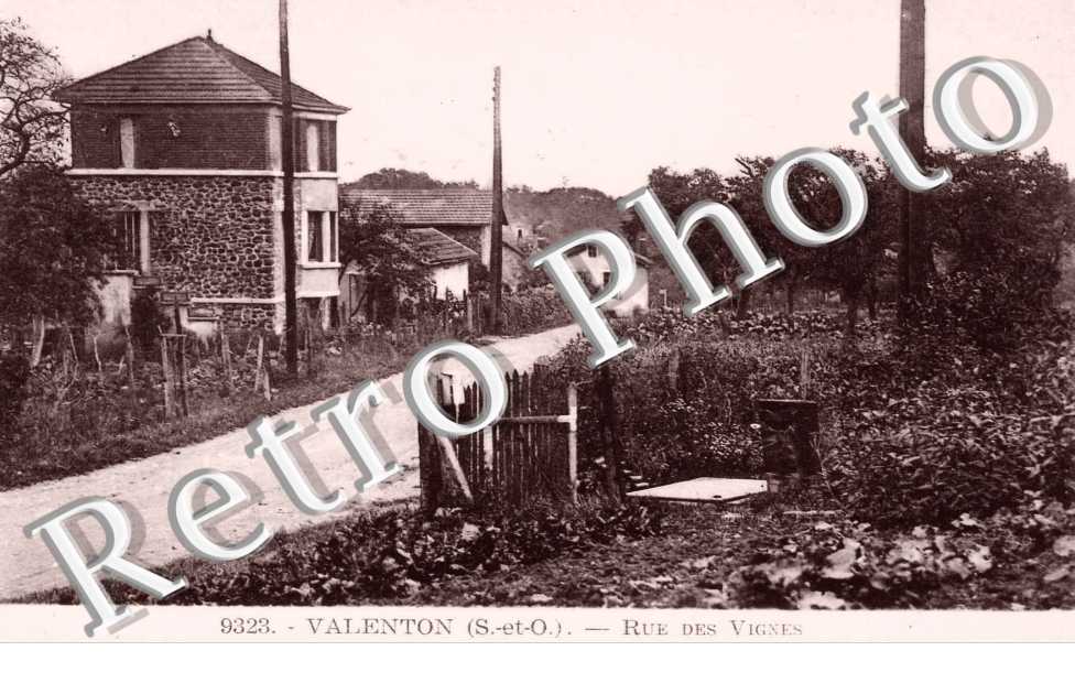 RUE DES VIGNES