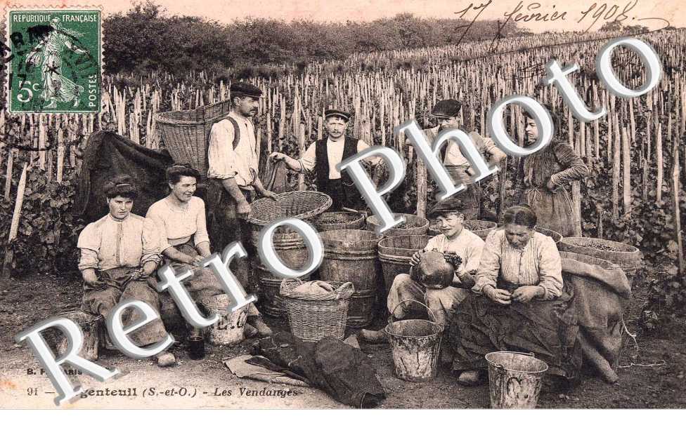 les vendanges