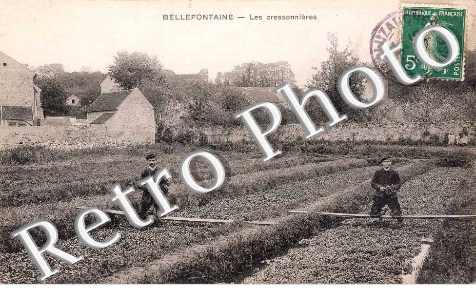 Les Cressonnieres