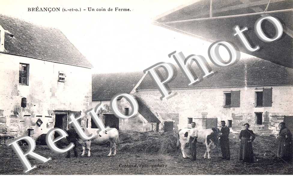 UN COIN DE FERME