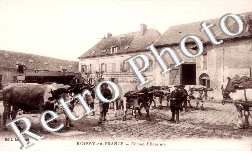 Ferme Elleaume