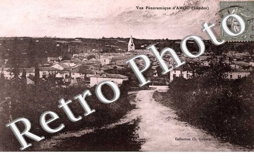 Vue panoramique