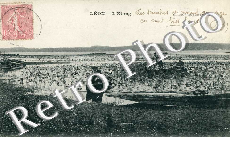 L'etang