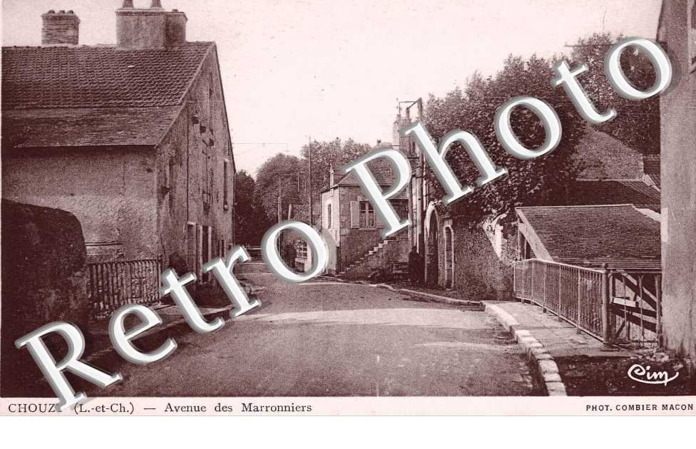 Avenue des Marronniers