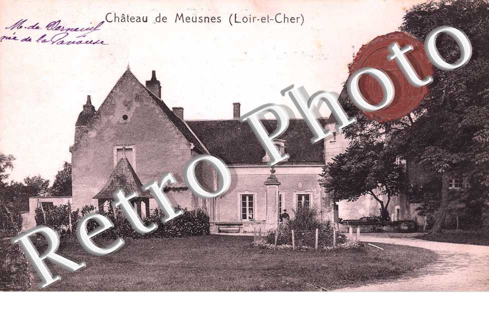 chateau de Meusnes