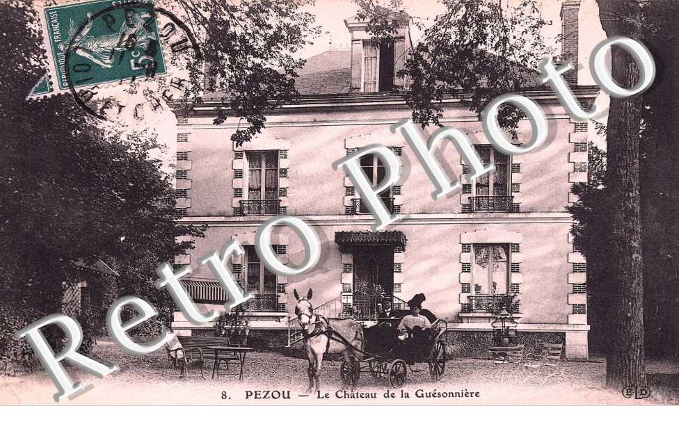 le chateau de la Guesonniere