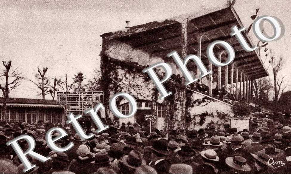 hippodrome - l'enceinte du pesage -hippisme