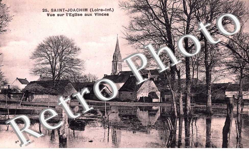 VUE SUR L'EGLISE aux Vinces