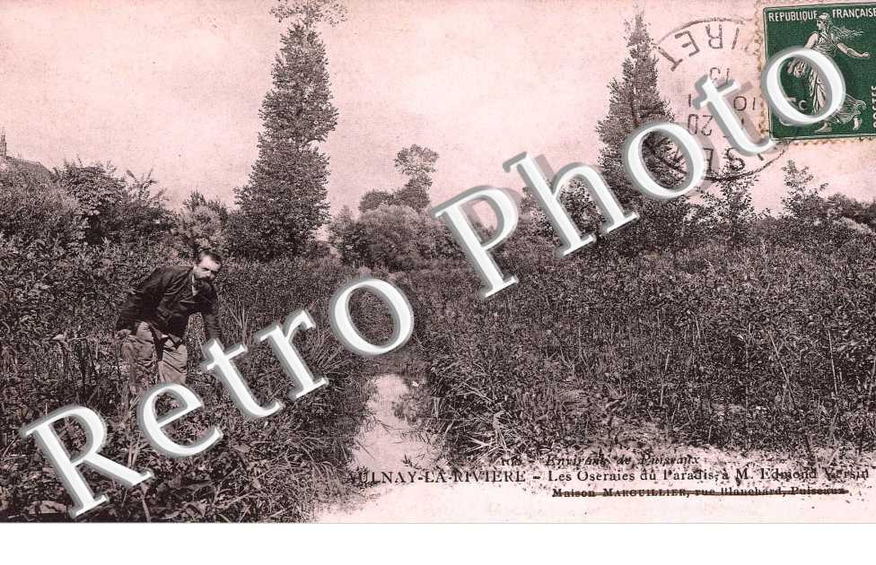 les oseraies du paradis, a Mr Edmond Versin