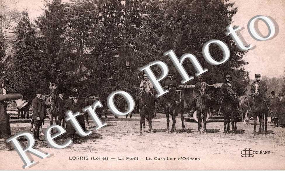 la foret - le carrefour d'Orleans