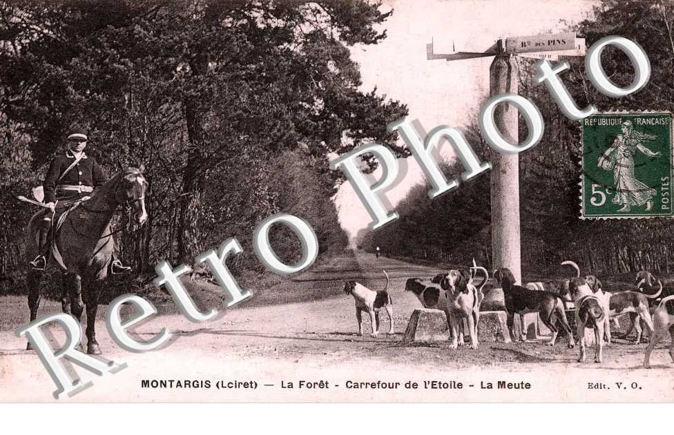 LA FORET. CARREFOUR DE L'ETOILE. LA MEUTE.