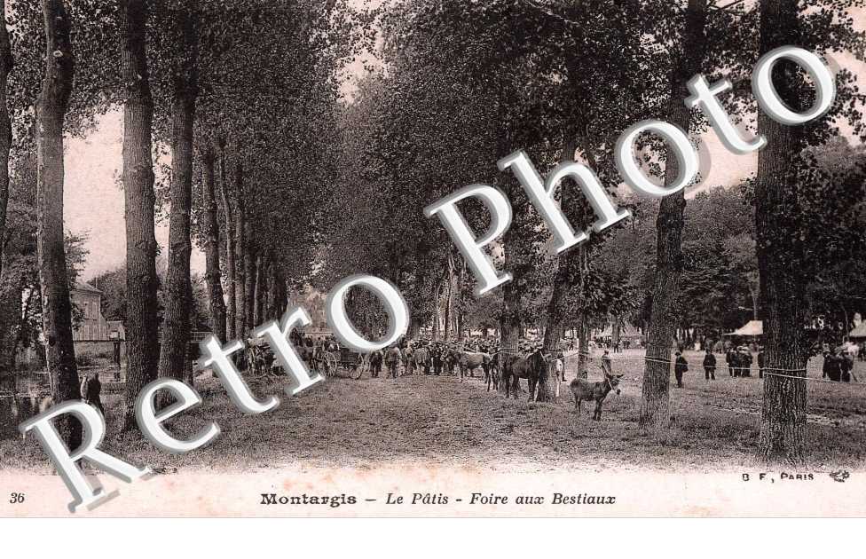 LE PATIS - FOIRE AUX BESTIAUX