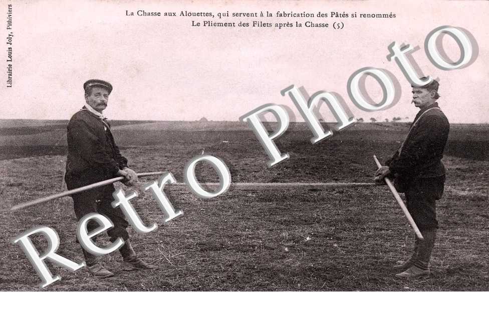 LA CHASSE AUX ALOUETTES