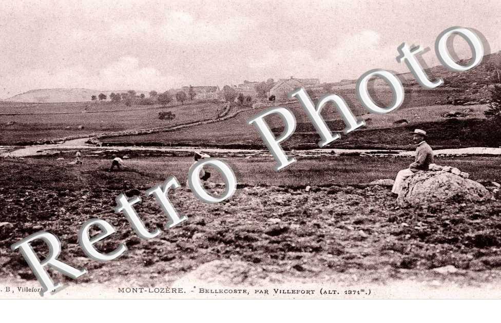 Mont-Lozere Bellecoste par Villefort (alt 1371 m)