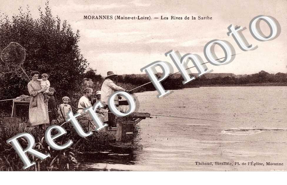 les rives de la sarthe