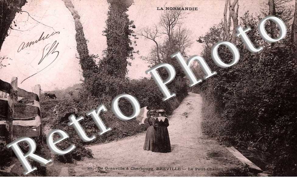 le petit chemin