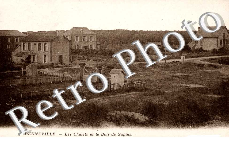 Les chalets et le bois de Sapins