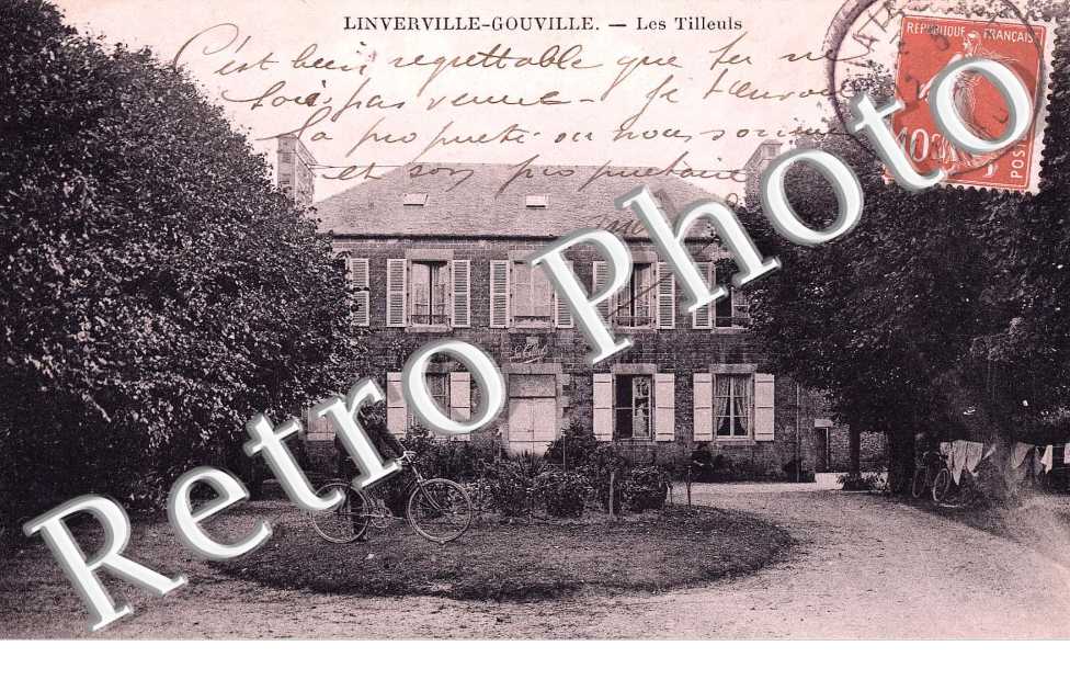 les tilleuls