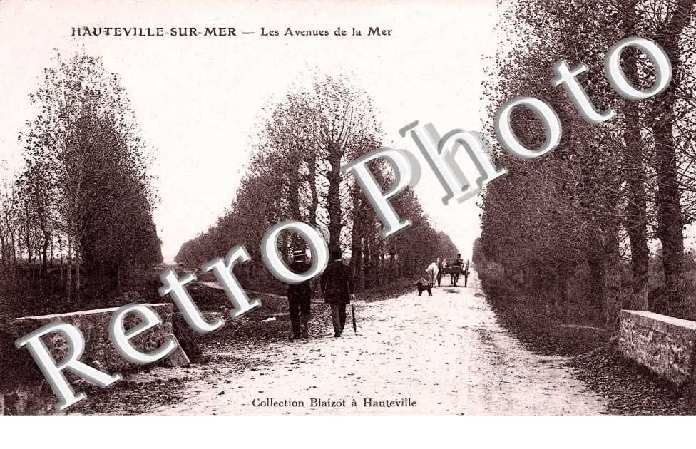 avenues de la mer
