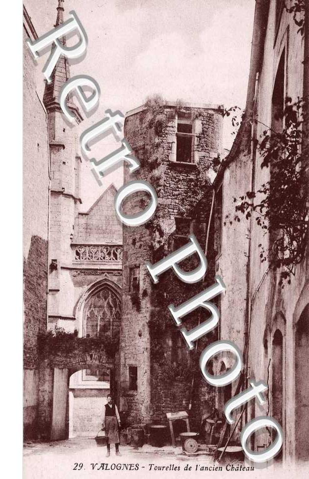 tourelles de l' ancien chateau