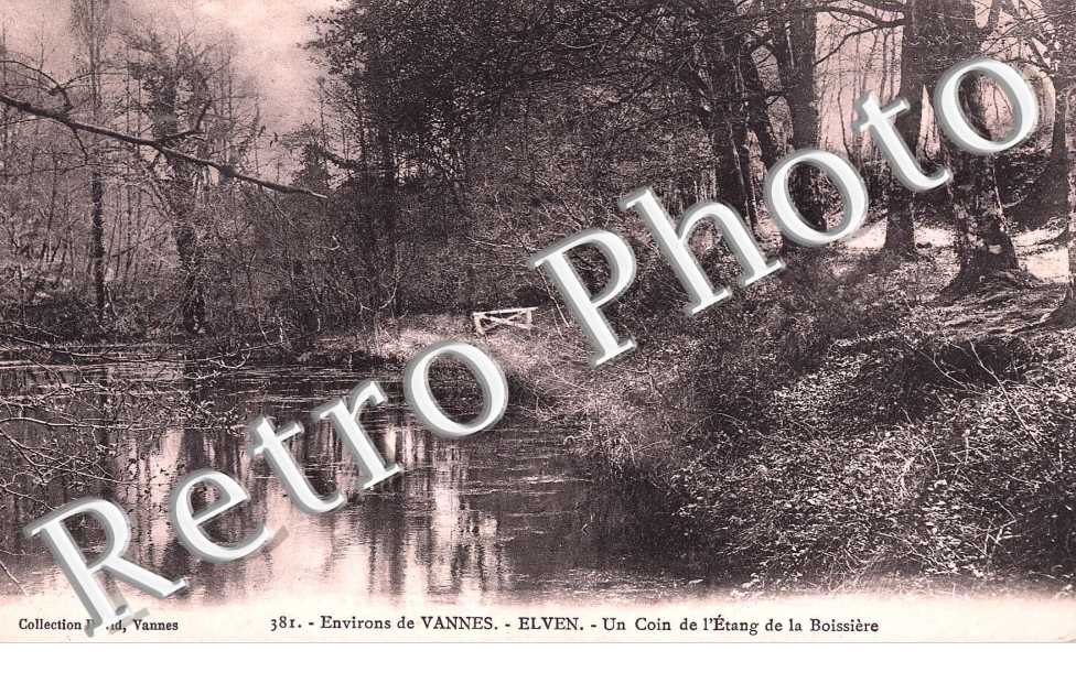 Un coin de l'etang de la Boissiere