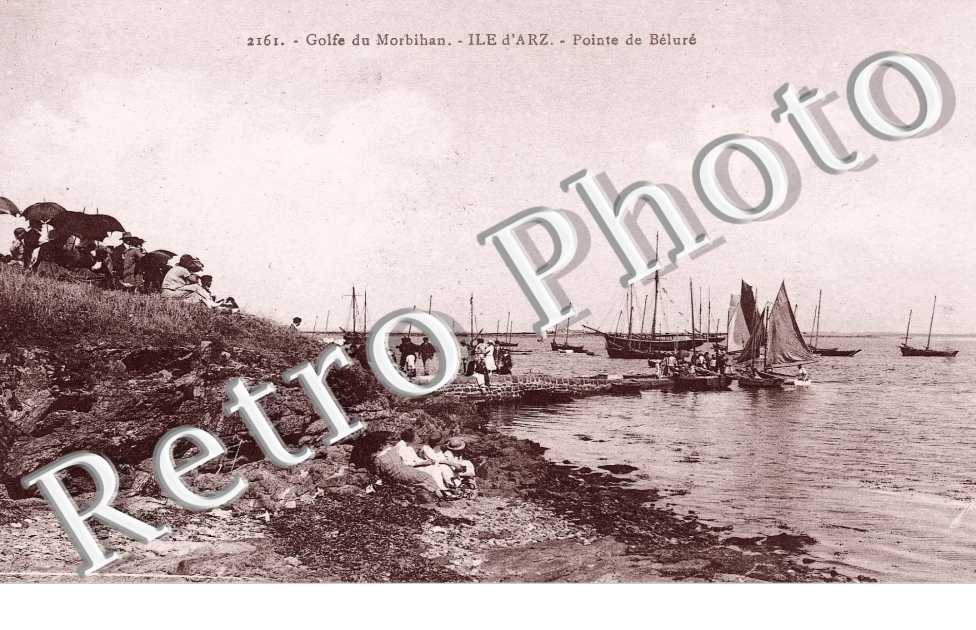 Golfe du Morbihan - pointe de Belure