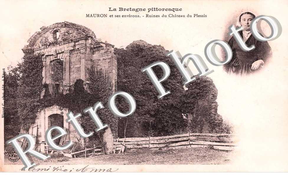 Ruines du Château du Plessis