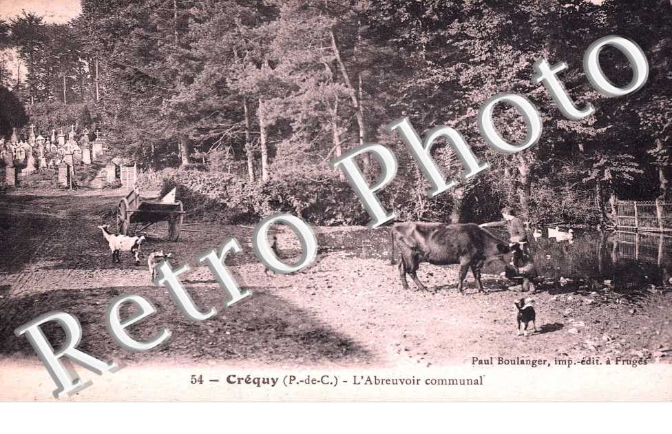 l'abreuvoir communal