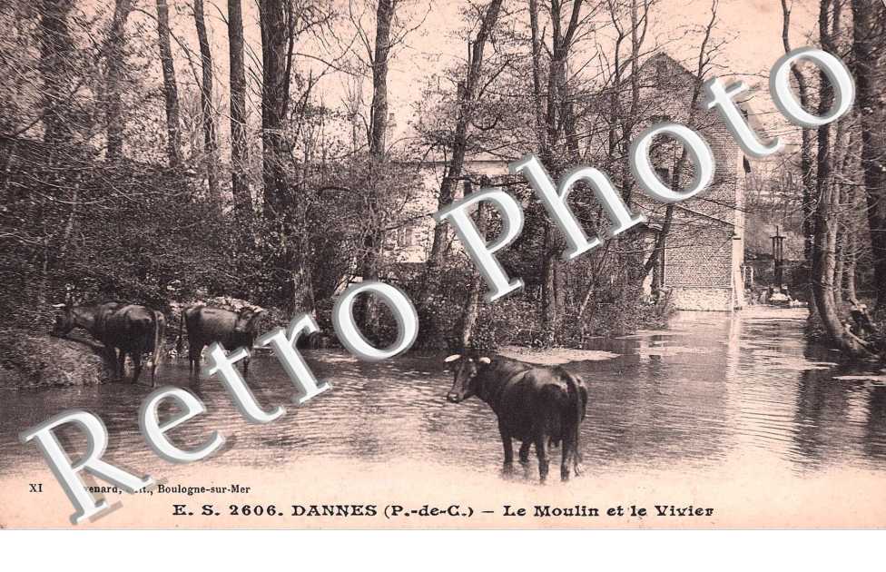 le moulin et le Vivier