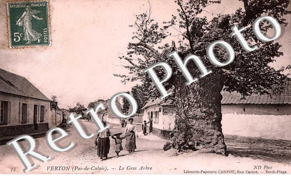 Le gros arbre