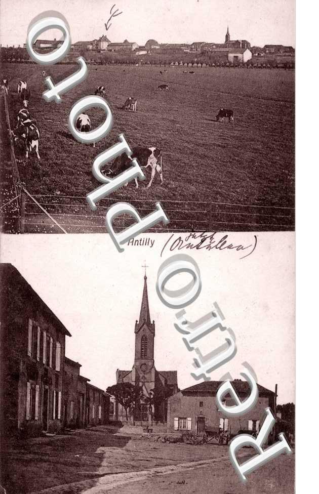 des Vaches dans les Paturages et l'Eglise