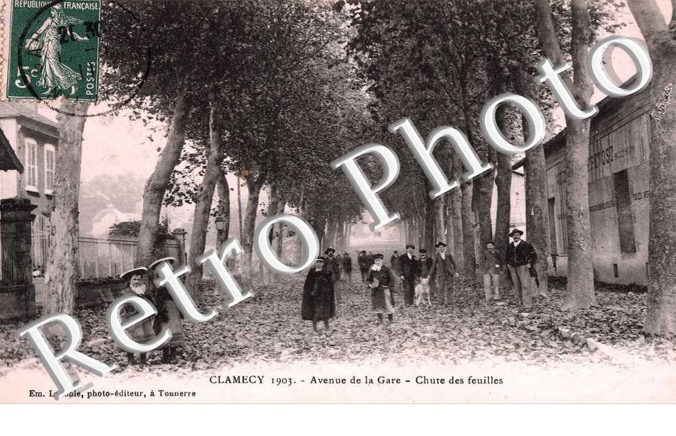 avenue de la gare - chute des feuilles