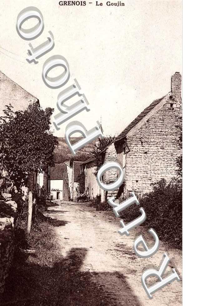 le Goujin