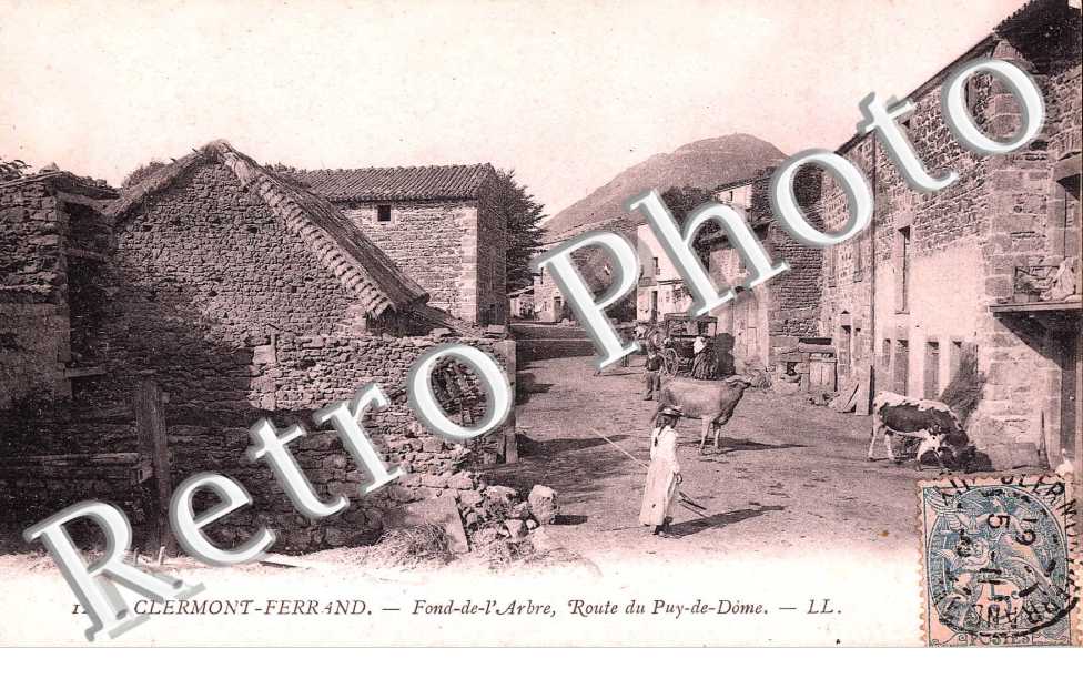 FOND DE L'ARBRE - Route du Puy de Dôme