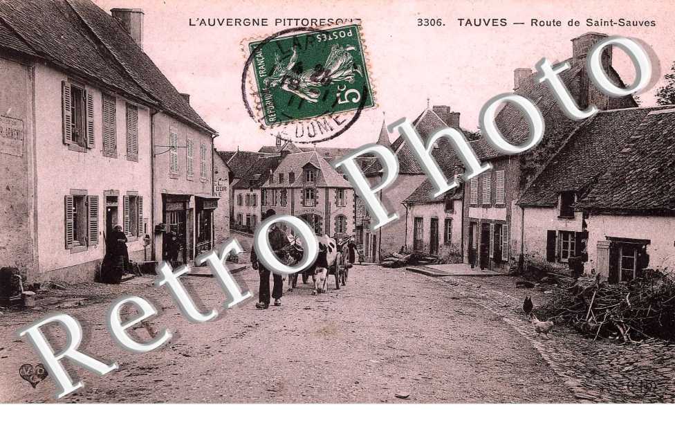 Route de Saint Sauves