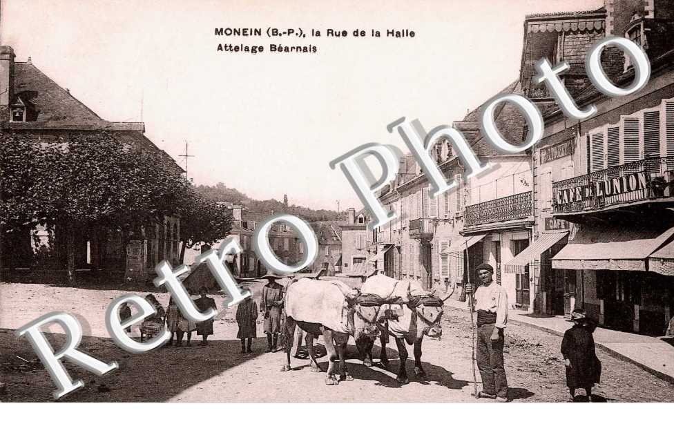La rue de la halle - attelage Bearnais