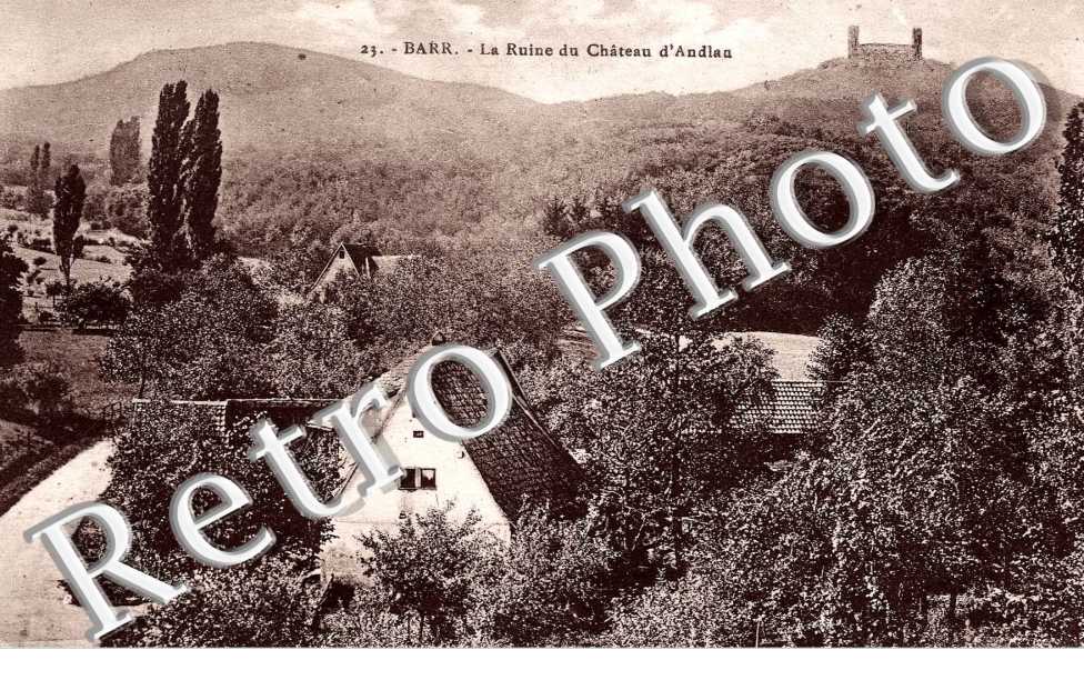 Les Ruines du Chateau d'Andlau
