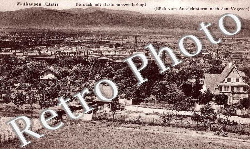 Dornach mit Hartmannsweilerkopf