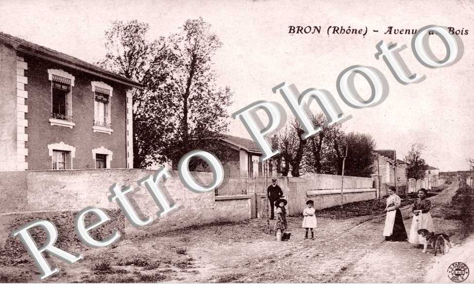 Avenue du bois
