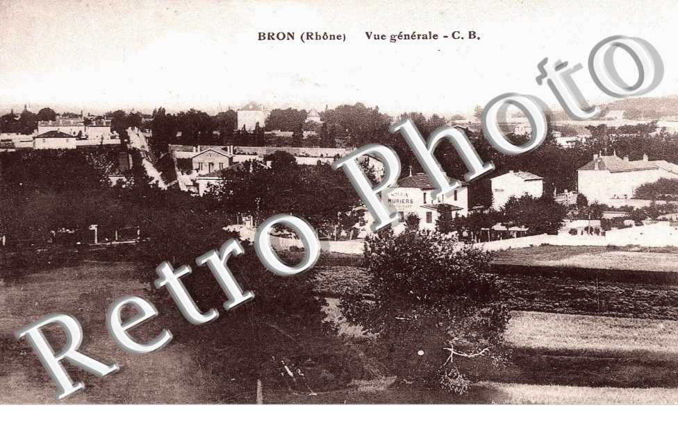Vue Générale