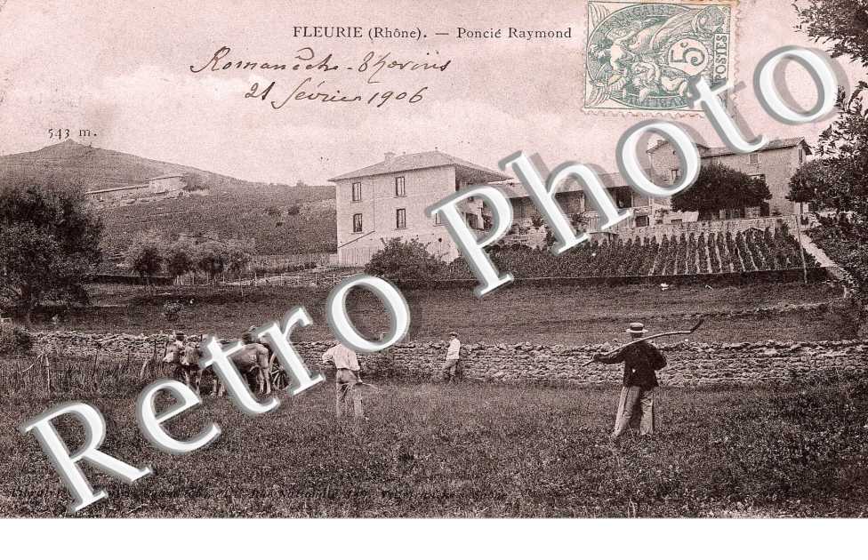 Poncie Raymond - agriculture
